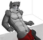  bulge canine male penis rakuun underwear undressing wolf 