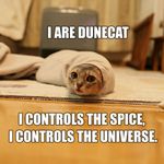 cat dune dunecat feline funny lol lolcat lulz spice_must_flow what 