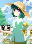  aioi_aoi bad_id bad_pixiv_id cup drinking_straw flower green_hair hat ice kazami_yuuka red_eyes solo straw_hat touhou 