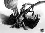  avian dragon dragonlovers feral gryphon scalie sex unknown_artist wings 