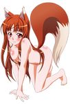  absurdres extraction horo kemonomimi nude shinohara_kenji spice_and_wolf tail vector 