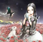  animal ball black_eyes black_hair bunny butterfly cloud field flower insect kimono pfu rock sitting sky spider_lily 