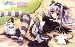  absurdres amaha_miu animal_ears bed blue_eyes cat cat_ears dress fake_animal_ears highres izumi_tsubasu legs legs_up lying mashiroiro_symphony no_shoes on_back on_bed pan-nya purple_eyes purple_hair smile striped thighhighs 