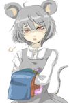  ahoge animal_ears capelet dress face ginji_(sakaki_summer) grey_hair jewelry laundry mouse_ears mouse_tail nazrin necklace open_mouth red_eyes sketch solo tail touhou 