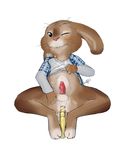  anal anal_insertion anal_penetration balls bulge cum eb erection hop_(movie) insertion lagomorph male mammal penetration penis plain_background rabbit seth-iova solo white_background 