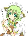  braid eating food green_eyes green_hair kemonomimi kitsunemimi maid pocky saitou_kon shingetsu_takehito solo tail twin_braids 