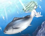  ao_usagi commentary fish green_eyes green_hair mermaid monster_girl original solo tuna underwater 