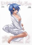  cleavage disc_cover hattori_junko ichiban_ushiro_no_daimaou no_bra open_shirt robe 