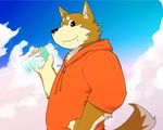  chubby dog fat kemono kotori looking_at_viewer male mammal overweight sky smile solo tail water 