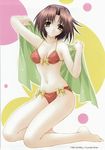  bikini kimizuka_aoi mizugi tagme 