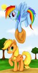  blue_fur cutie_mark duo equine female feral friendship_is_magic fur horse mammal mn27 my_little_pony pegasus pony rainbow_dash_(mlp) wings 