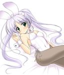  animal_ears bunny_ears bunnysuit fortune_arterial green_eyes masakichi_(crossroad) pantyhose purple_hair solo tougi_shiro 