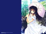  long_hair parasol tagme umbrella wallpaper yano_takumi 