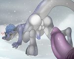  &hearts; &lt;3 anthro anus ass_up ben300 black_sclera blue_hair blush butt butt_shot cold cum cum_drip disembodied_penis dragon dripping duo gay hair happy looking_back male nude penis playful pose precum presenting presenting_hindquarters raised_tail smile snow snowing tail 