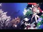  album_cover bow cosmic_(crownclowncosmic) cover crescent_moon detached_sleeves dutch_angle flower hair_bow hakurei_reimu hat hydrangea kirisame_marisa letterboxed moon multiple_girls night night_sky sitting sky touhou witch_hat 