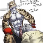  bear bomb_(artist) boxing cum duo feline gay japanese_text male mammal oral plain_background poking_out red_eyes sex text tiger translation_request white_background 