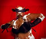  bovine bra cattle chromatic_background cow dominatrix ear_tag edit eyewear facial_piercing female freejay gloves jewelry mammal nose_piercing nose_ring photo_manipulation photomorph piercing red_background riding_crop sunglasses underwear 