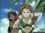  leaf_bikini love_hina narusegawa_naru tagme 