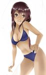  akitama bikini breasts brown_eyes brown_hair cleavage large_breasts long_hair navel original smile solo swimsuit underboob 