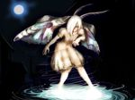  antenna in_water moon moth night wings 