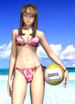  3d dead_or_alive hitomi volleyball 青い目 