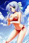  alicia_infans find_similar magus_tale mizugi tagme 