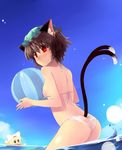  :3 animal_ears ass ball beachball bikini blonde_hair blood brown_hair cat_ears cat_tail chen chibi day earrings hat jewelry jitome looking_back multiple_girls multiple_tails nekomata nosebleed outdoors red_eyes shin_(new) short_hair swimsuit tail touhou water wet yakumo_ran 