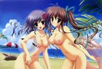  akane-iro_ni_somaru_saka beach bikini blue_eyes blush breasts brown_hair cleavage day highres katagiri_yuuhi large_breasts multiple_girls nagase_minato nude nude_filter ponytail purple_hair pussy swimsuit third-party_edit 