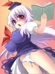  keine_kamishirasawa tagme touhou 