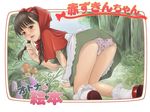  all_fours apron ass bangs bent_over black_hair blunt_bangs blush bobby_socks bow braid capelet cover doujinshi dress finger_to_mouth food_print from_behind hair_bow hairband hood leaf lipstick little_red_riding_hood little_red_riding_hood_(grimm) long_hair makeup mushroom on_ground open_mouth otona_no_ehon_akazukin_chan outdoors panties pantyshot parody print_panties red_capelet redlight shoes sky socks solo strawberry_panties strawberry_print translated tree twin_braids underwear upskirt waist_apron white_panties 