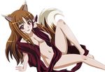  1girl absurdres animal_ears breasts brown_hair cleavage extraction highres holo horo kemonomimi navel nude red_eyes shinohara_kenji simple_background spice_and_wolf tail vector white_background 