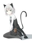  animal_ears black_legwear blush cat_ears cat_tail green_eyes necktie pantyhose pouch sanya_v_litvyak short_hair silver_hair sitting solo strike_witches tail umeo_retto world_witches_series 