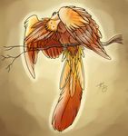  avian bird dirtiran feral non-anthro orange_feathers red solo wings 
