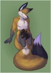  anthro colored_background fox green_background hindpaw kintuse legs_up lintu looking_at_viewer male mammal nude pawpads paws plain_background sitting solo vang 