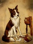  book border_collie canine culpeofox dog feral mammal solo tail 