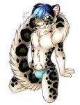 2018 anthro black_fur black_hair blue_hair bulge clothed clothing feline fur green_eyes grey_fur hair inner_ear_fluff leopard male mammal michele_light multicolored_hair simple_background skimpy snow_leopard solo speedo swimsuit tail_wraps two_tone_hair white_background white_fur wraps 