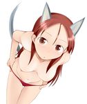  animal_ears breasts brown_eyes long_hair looking_at_viewer medium_breasts minna-dietlinde_wilcke nipples panties red_hair simple_background solo strike_witches tail tanaka_rikimaru topless underwear undressing world_witches_series 