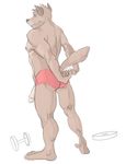  butt canine canson ear_piercing flaccid male mammal muscles penis piercing plain_background pose solo underwear white_background wolf 