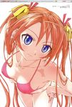  bikini kagurazaka_asuna mahou_sensei_negima! mizugi tagme 