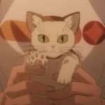  animated_gif cat cute kamijou_touma sphinx_(to_aru_majutsu_no_index) to_aru_majutsu_no_index 
