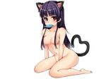  1girl animal animal_ears cat_ears catgirl fish gokou_ruri nude ore_no_imouto_ga_konna_ni_kawaii_wake_ga_nai shinjigen shouno_kotaroo simple_background solo tail white white_background 