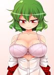  bare_shoulders bra breasts cleavage collarbone dress_shirt face green_hair kazami_yuuka large_breasts lingerie off_shoulder open_clothes open_shirt plaid plaid_vest red_eyes shirt simple_background smile solo touhou unadare underwear undressing upper_body vest 