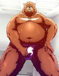  bear brown_body brown_eyes brown_fur brown_nose bulge chubby crotch_grab cuddly fat fluffy fundoshi fur grin grizzly_bear grope hairy incoming_rape juuichi_mikazuki looking_at_viewer looking_down low-angle_shot male mammal morenatsu musclegut muscles open_mouth overweight pecs rape_face sharp_teeth solo standing teeth underwear unknown_artist 