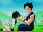  ball db dbz dragon dragonball gohan nature nude videl z 