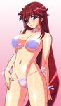  breasts dita_liebely find_similar kuroda_kazuya large_breasts long_hair mizugi shitapai tagme vandread 