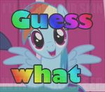  equine friendship_is_magic horse my_little_pony pegasus pony rainbow_dash_(mlp) text 