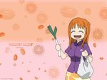  bleach hairpin inoue_orihime negi wallpaper 