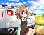  aisaka_taiga blush brown_eyes brown_hair car cloud day dirt_road dress exhaust_pipe field ground_vehicle motor_vehicle nissan_gt-r petals sitting sky smile solo spoiler_(automobile) tail_lights toradora! vehicle_rear wingheart 