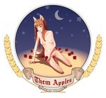  absurdres animal_ears apple bad_id bad_pixiv_id barefoot breasts brown_hair crescent_moon english food fruit highres holo hy136 lips long_hair medium_breasts moon nude pubic_hair red_eyes solo spice_and_wolf star tail wolf_ears wolf_tail 