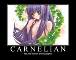  carnelian kao_no_nai_tsuki kuraki_suzuna long_hair motivator purple_hair solo yellow_eyes 